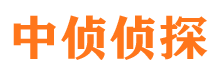 通渭市调查取证